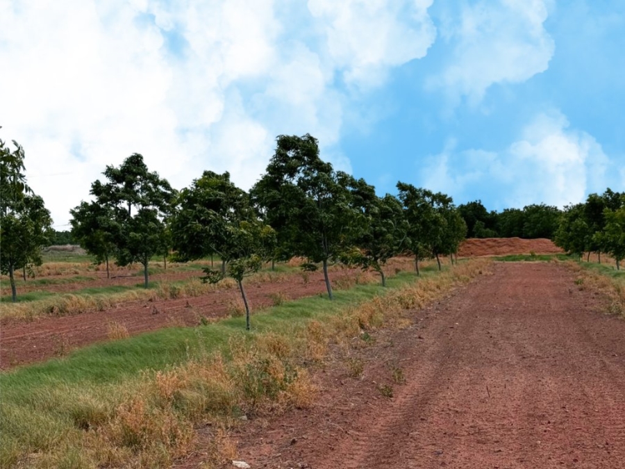  Bedroom Property for Sale in Jan Kempdorp Northern Cape